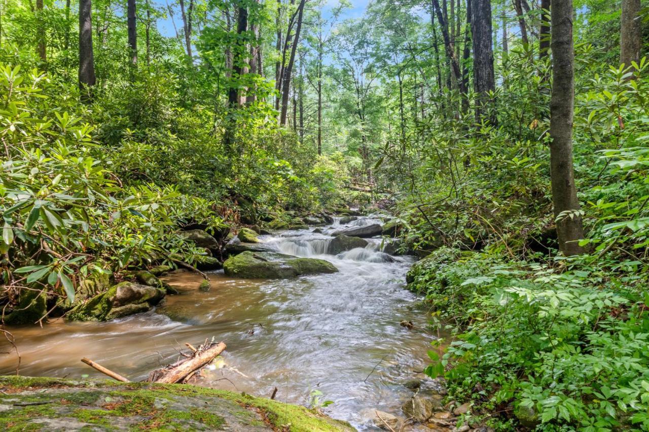 Falling Waters At Rumbling Bald Lake Lure Exterior photo